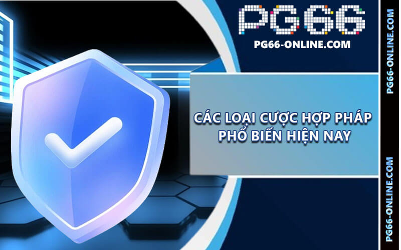 Cược hợp pháp PG66
