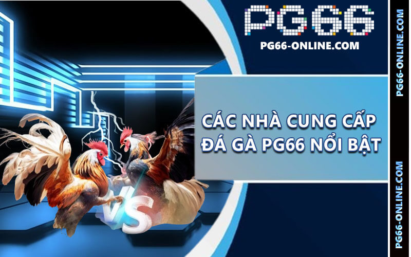 Đá gà PG66