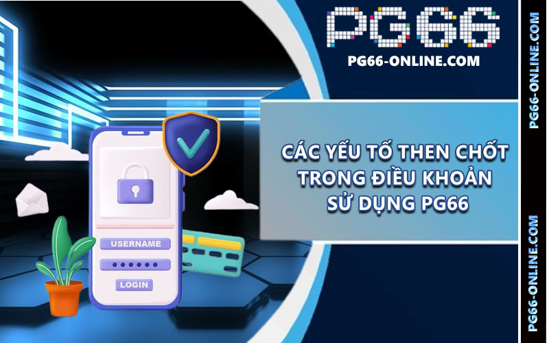 Điều khoản sử dụng PG66