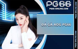 Đá gà AOG