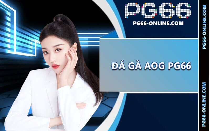 Đá gà AOG