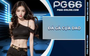Đá gà cựa dao