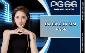 Đá gà cựa kim
