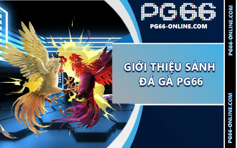 Đá gà PG66