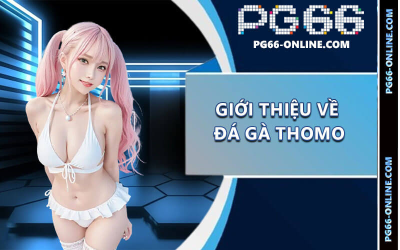 Đá gà Thomo