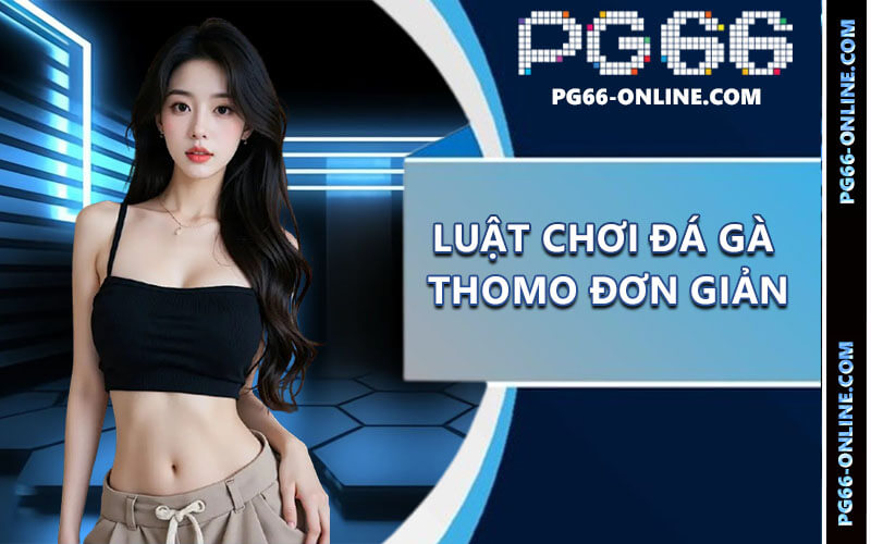 Đá gà Thomo