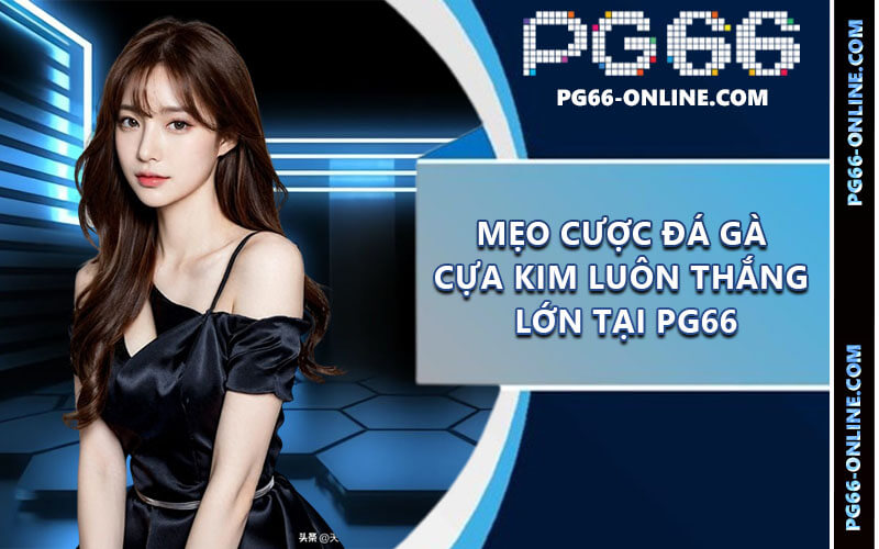 Đá gà cựa kim