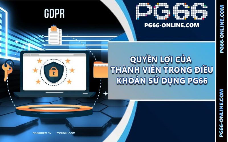 Điều khoản sử dụng PG66