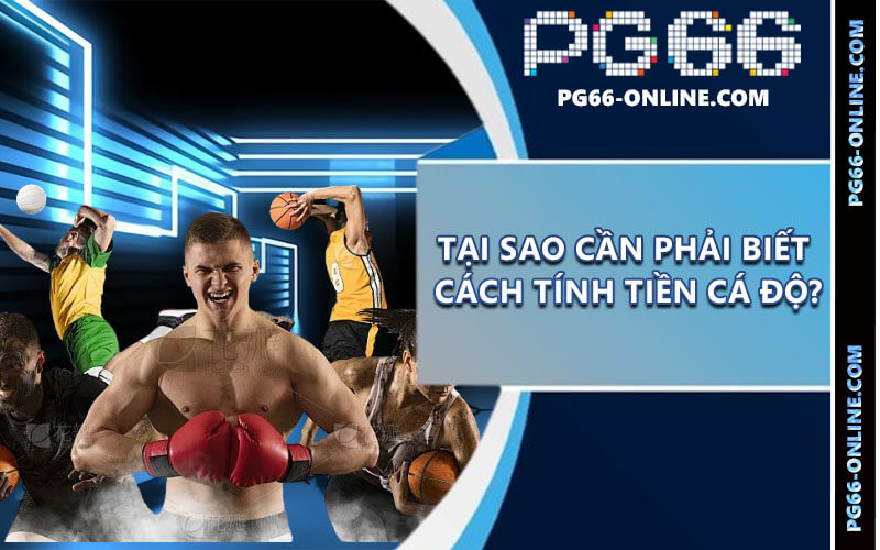 Cách tính tiền cá độ