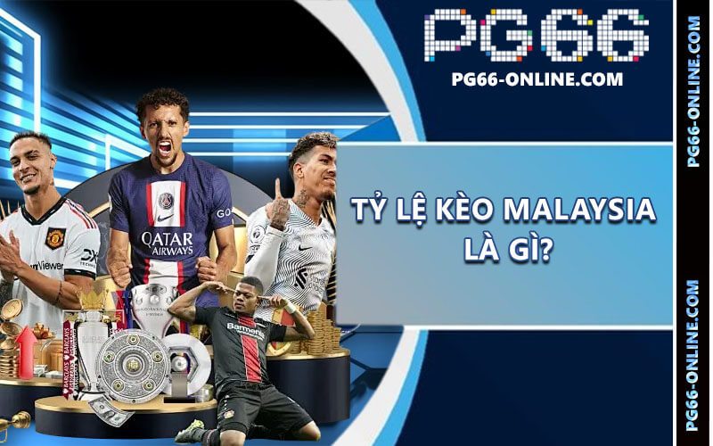 Tỷ lệ malaysia